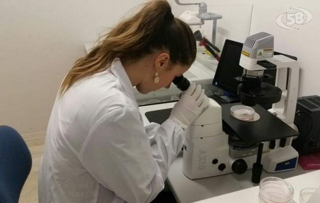 Ricerca, l'irpina Rachele Di Donato nel team di medicina della Washington University