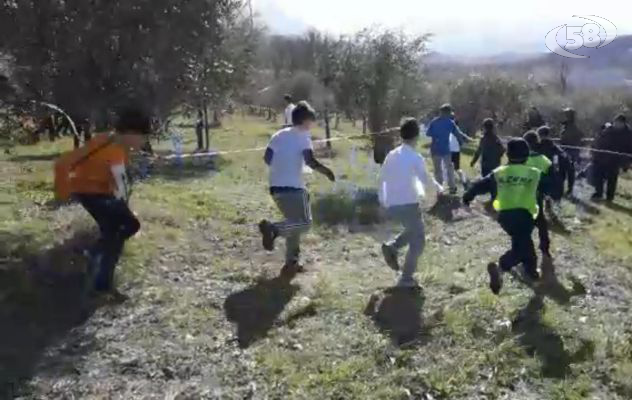 Corsa Campestre, gli alunni della Mancini di Ariano trionfano nelle fasi provinciali