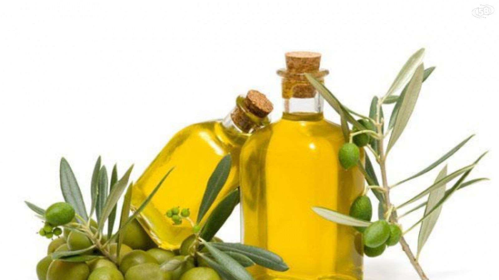 olio extravergine