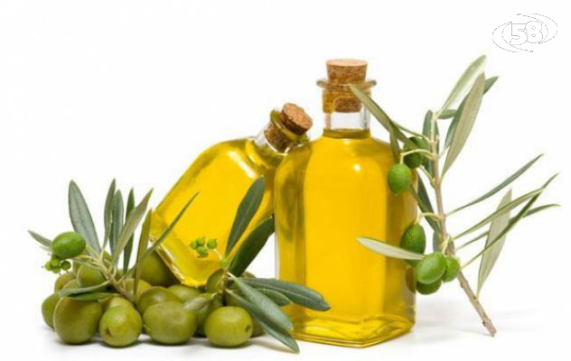 Contraffazione dell'olio, il convegno Coldiretti a Flumeri