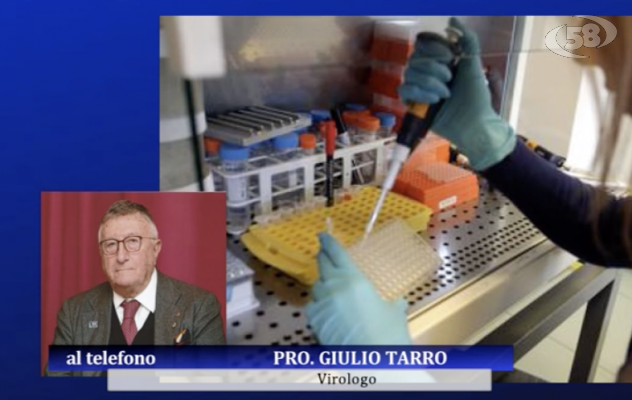 Staminali, trapianto e hiv: nuove frontiere nella lotta al virus