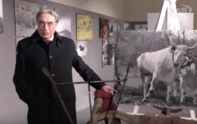 Virgilio e Federico II ispirano Zecchino: scatti in mostra a Roma