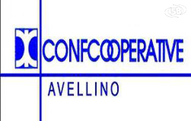 Confcooperative, il 6 luglio convegno su "Economia, impresa e lavoro" 