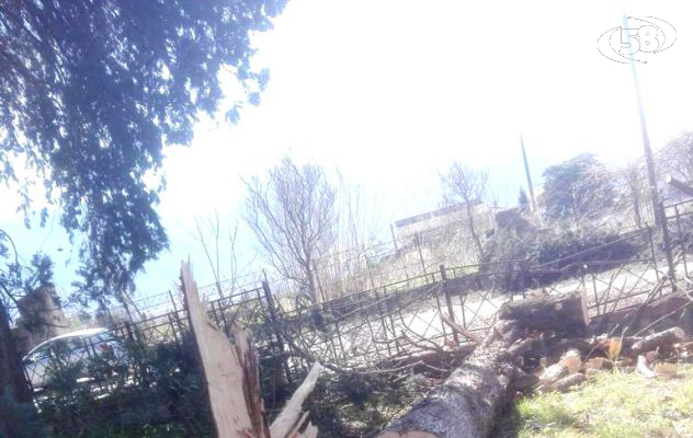 Alberi abbattuti dal maltempo, presto riapriranno le antiche terme