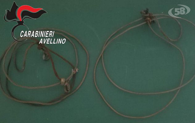 Taurano, i carabinieri sequestrano lacci per la cattura di cinghiali
