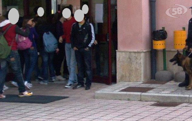 Hashish nel bagno della scuola, blitz dei carabinieri con le unità cinofile