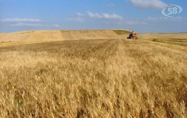 Pasta 100% Sannio, nasce il primo accordo storico di filiera