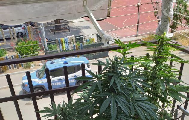 Coltivava droga sul balcone, arrestato giovane