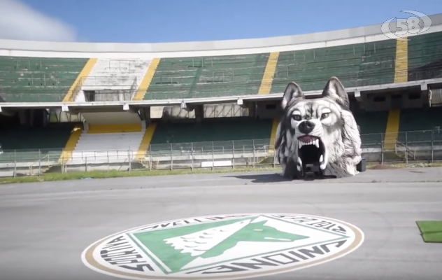 Avellino calcio, svolta vicina: gli acquirenti si fanno avanti