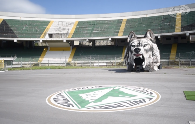 Calcio e basket in vendita, Festa: interlocuzioni in corso