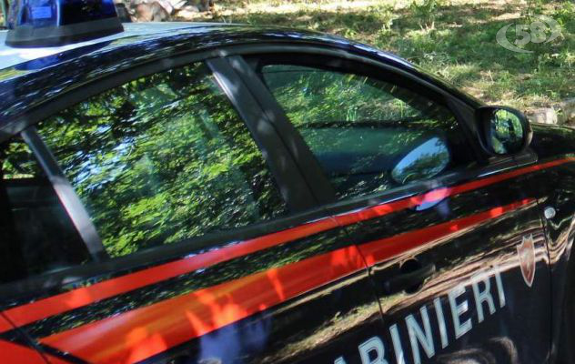 Padre e figlio arrestati per furto aggravato in concorso