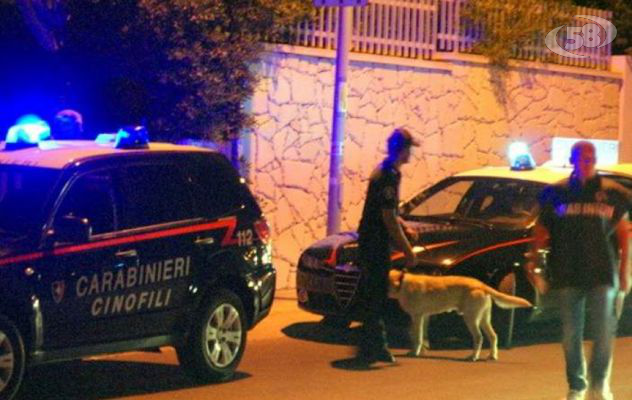 Coltivazione e detenzione ai fini di spaccio: arrestato 45enne