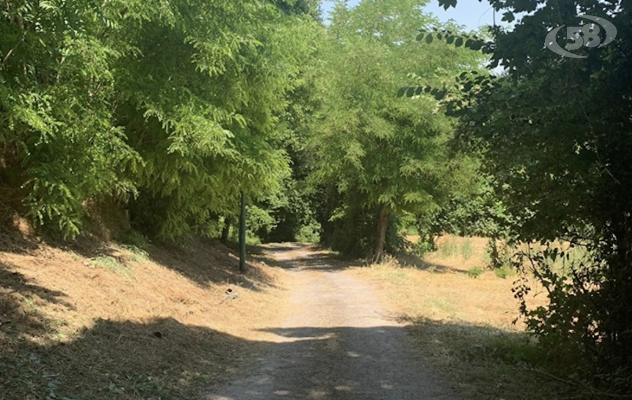 Grotta, al via i lavori di manutenzione da parte della Provincia al Parco Molinello e a fontana San Tommaso