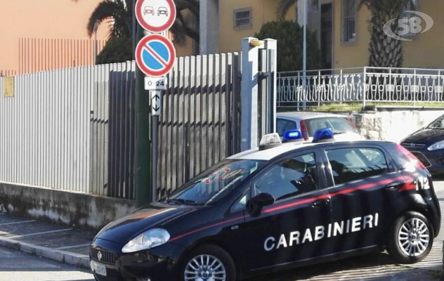 Minaccia i carabinieri con una spada giapponese: in casa aveva tre piante di canapa