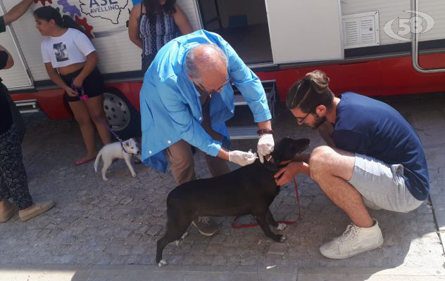 Santa Paolina: microchippatura cani, successo per la campagna promossa dal Comune