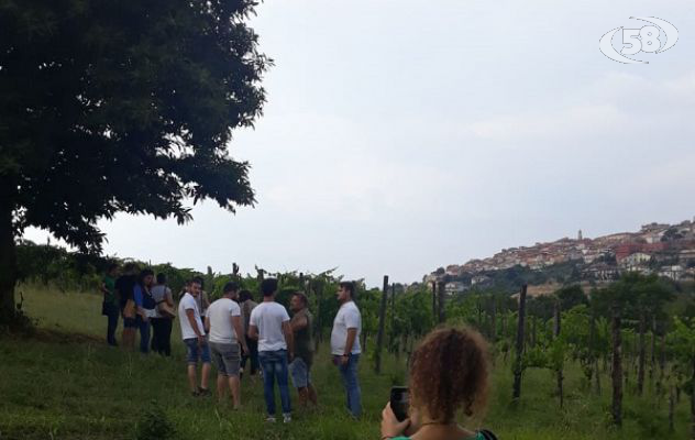 Gesualdo al centro della formazione nel settore agricolo