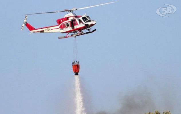 Vasto incendio nei boschi: vigili del fuoco in azione per domare le fiamme