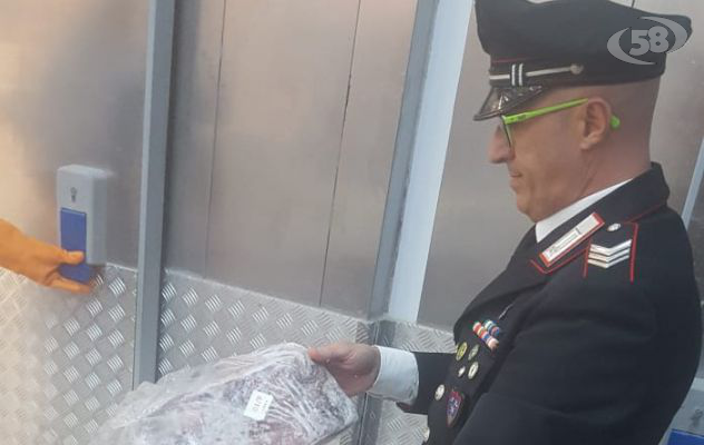 Sequestrato un quintale di pesce, scatta anche la sanzione di 3 mila euro