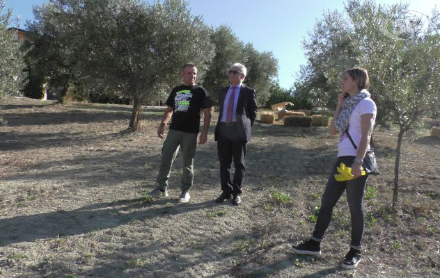 A Zungoli il weekend dedicato all'olio ravece. Bimbi fra gli uliveti