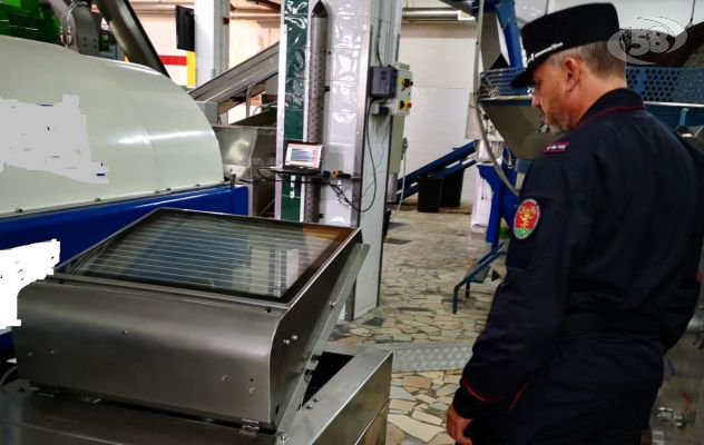 Scarichi nella rete fognaria, sequestrata ditta olearia