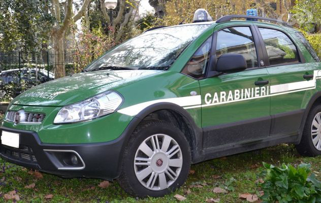 Ariano, lavori senza autorizzazione: 3 persone denunciate