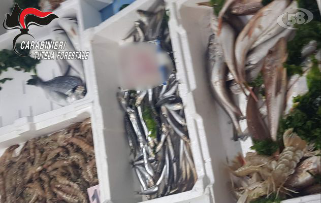 Prodotti privi di tracciabilità: sequestrati legumi e 50kg di pesce