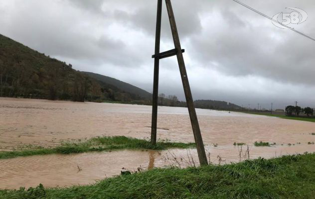 Allerta meteo, l'sos di Masiello: "Nei campi è un bollettino di guerra"