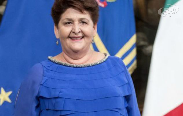 Il ministro Bellanova: "Fondo di compensazione per i danni subiti"/L'INTERVISTA