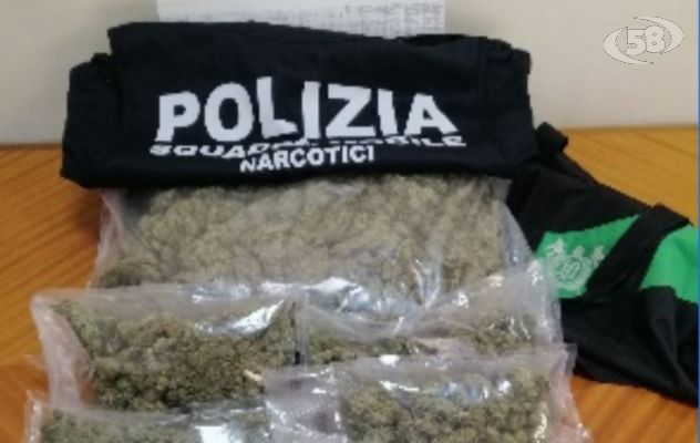 Tre chili di droga pronta allo spaccio scovata dal Jack Russel Terrier: arrestato 44enne