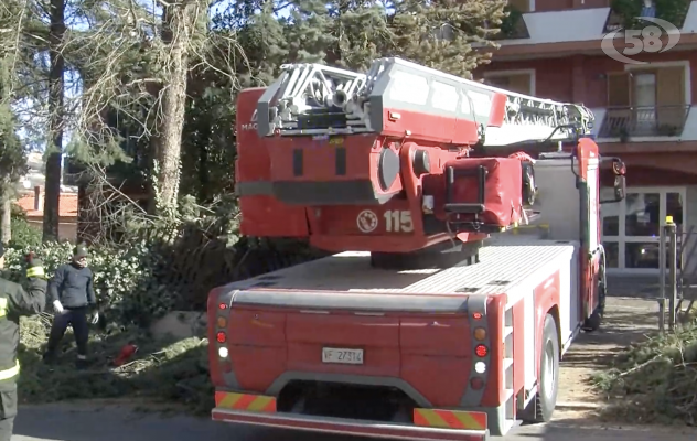 Ariano, vento forte: cade albero, vigili e operai a lavoro /VIDEO