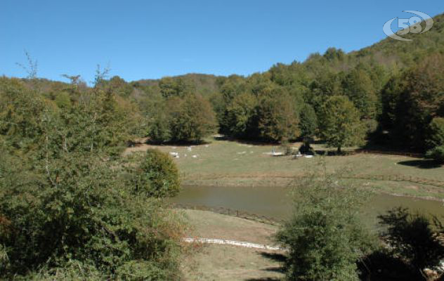 Dispersi sul Terminio: padre e figlio ritrovati dopo due ore