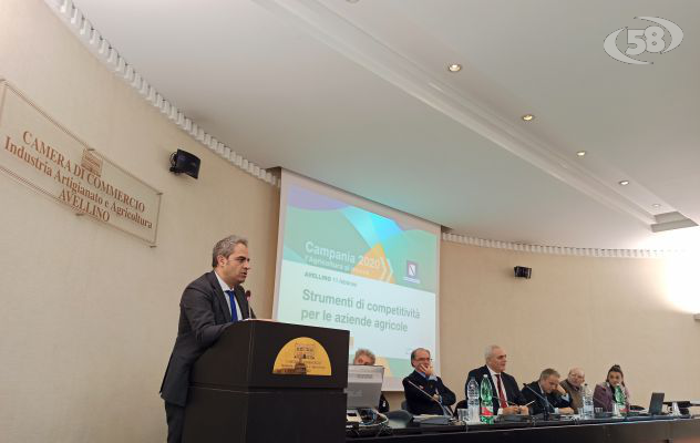 Distretti Rurali, Petracca: bene l'Irpinia con quattro progetti approvati. Premiato il lavoro sul territorio