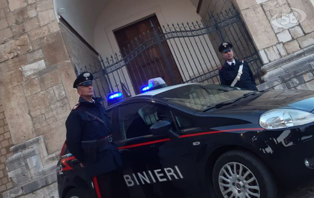 Consegna di derrate alimentari, il parroco don Enrico Iuliano: "Grazie a tutti i Carabinieri d'Italia"