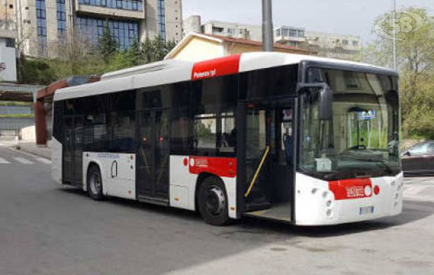 Viaggiare in sicurezza, Trotta bus investe sulla sanificazione: intesa con il Comune