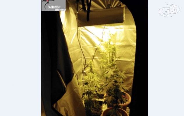 Coltivava droga in garage, arrestato giovane 23enne