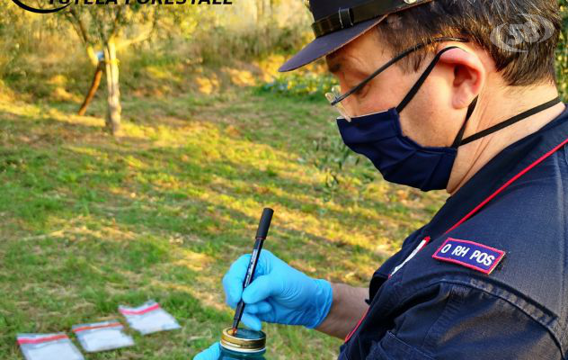 “Hanno avvelenato il pozzo”: scatta il sequestro. Indagini in corso