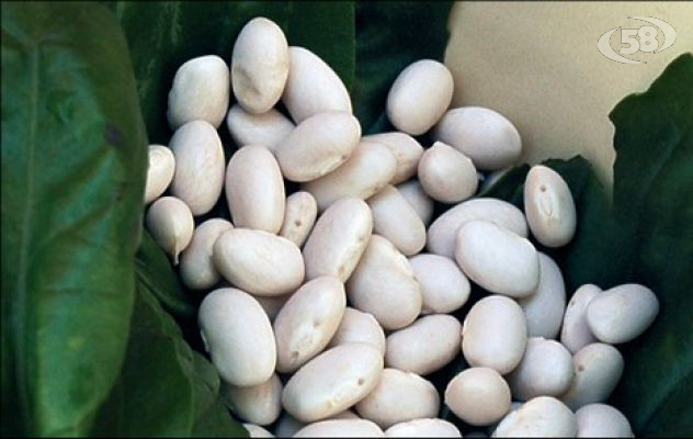 Volturara, i giovani possono combattere la crisi "valorizzando" l'agricoltura