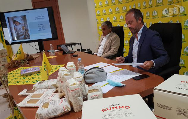 Prodotti made in Italy e sostegno al settore vitivinicolo. Masiello annuncia novità/L’INTERVISTA