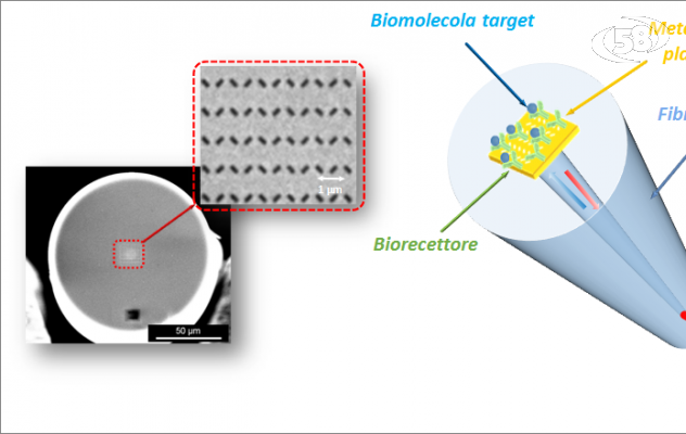 Covid 19, la sfida dell’Unisannio con il nuovo biosensore ultra sensibile 