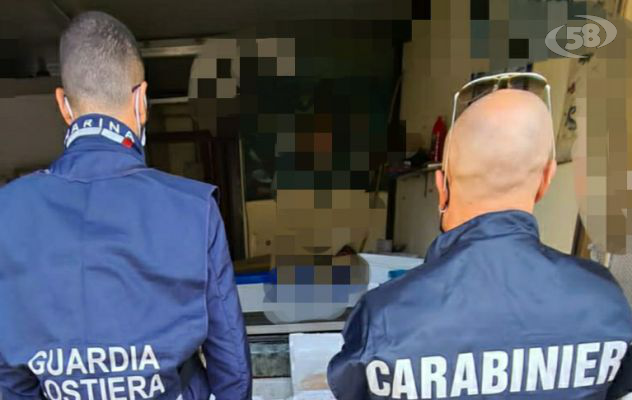 Controlli in due ristoranti, sequestrati 90 chili di pesce. 3 mila euro di sanzione