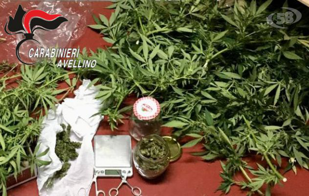 Sorpreso in possesso di marijuana: 18enne arrestato per spaccio