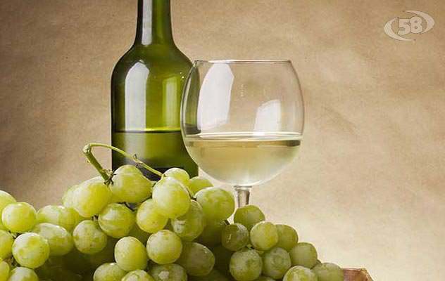 Fiano e Greco diventano ''Riserva'': premiato il il vino irpino