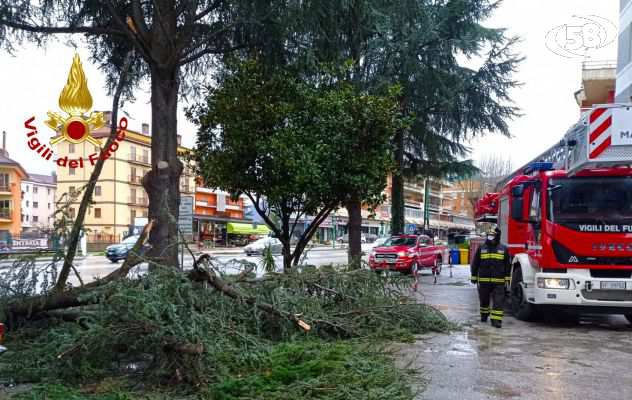 Alberi caduti, smottamenti, esondazioni: maltempo sull'Irpinia