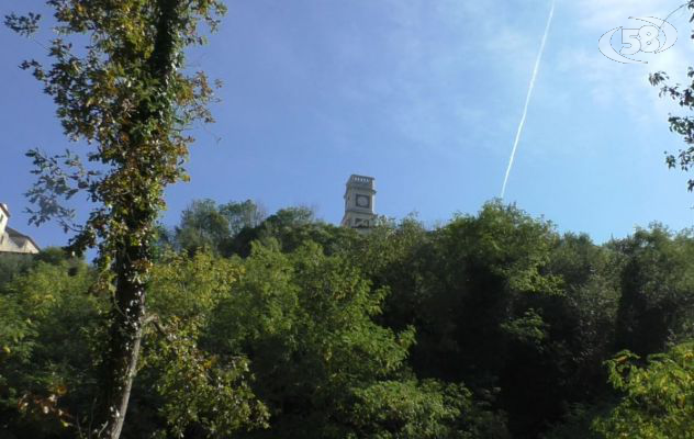  Oltre 70 tra alberi ed arbusti arriveranno a giorni a Grottaminarda