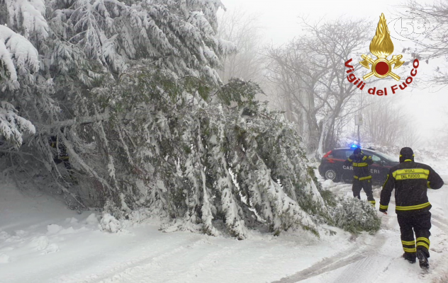 Neve sull'Irpinia, auto bloccate e alberi caduti