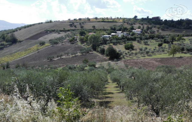 Consorzio Bonifica dell'Ufita, c'è la gara per la costruzione di una condotta irrigua in galleria 