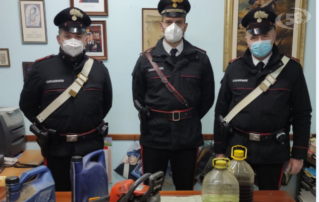 Ruba quasi 3 quintali di legna, 48enne sorpreso e ammanettato