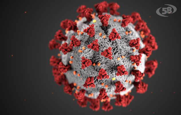 66 positivi su 1174 tamponi: 15 casi ad Avellino