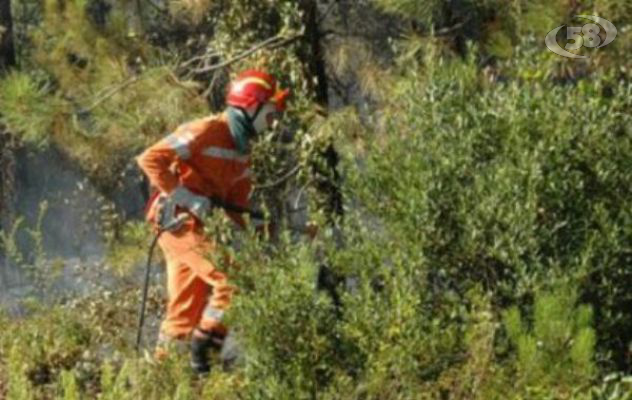 Comunità Montana Alta Irpinia, più lavoro per i forestali