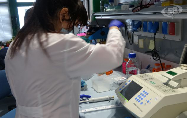 Tamponi e ricerca, un anno di lotta al Covid: il bilancio di Biogem /SPECIALE